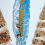 Personalised Bookmarks and Pens (13)
