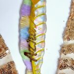 Personalised Bookmarks and Pens (23)