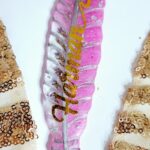 Personalised Bookmarks and Pens (24)